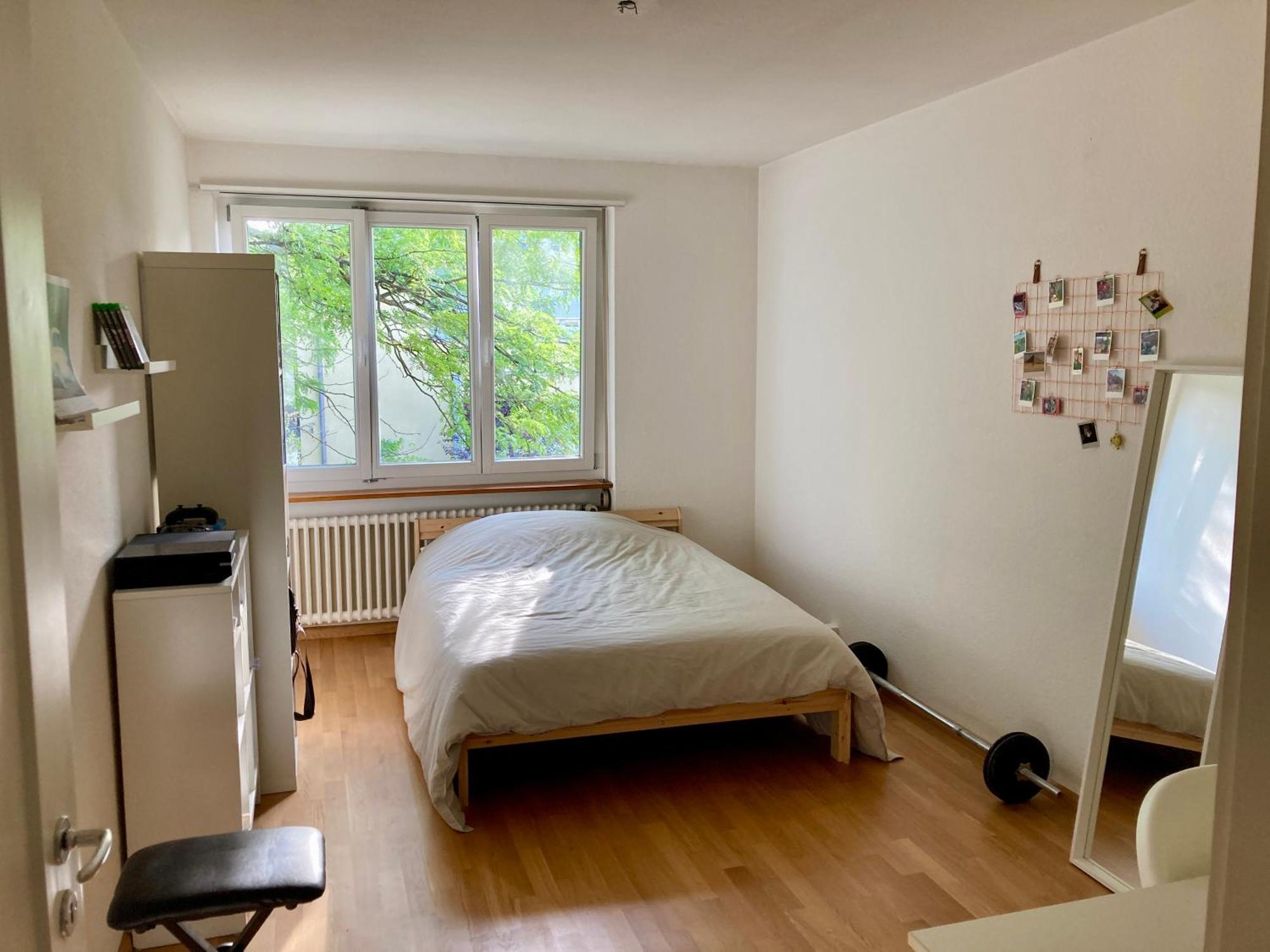 Altbau Near St Alban Tal Appartement *